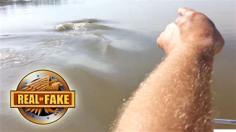 are river monsters reports fake